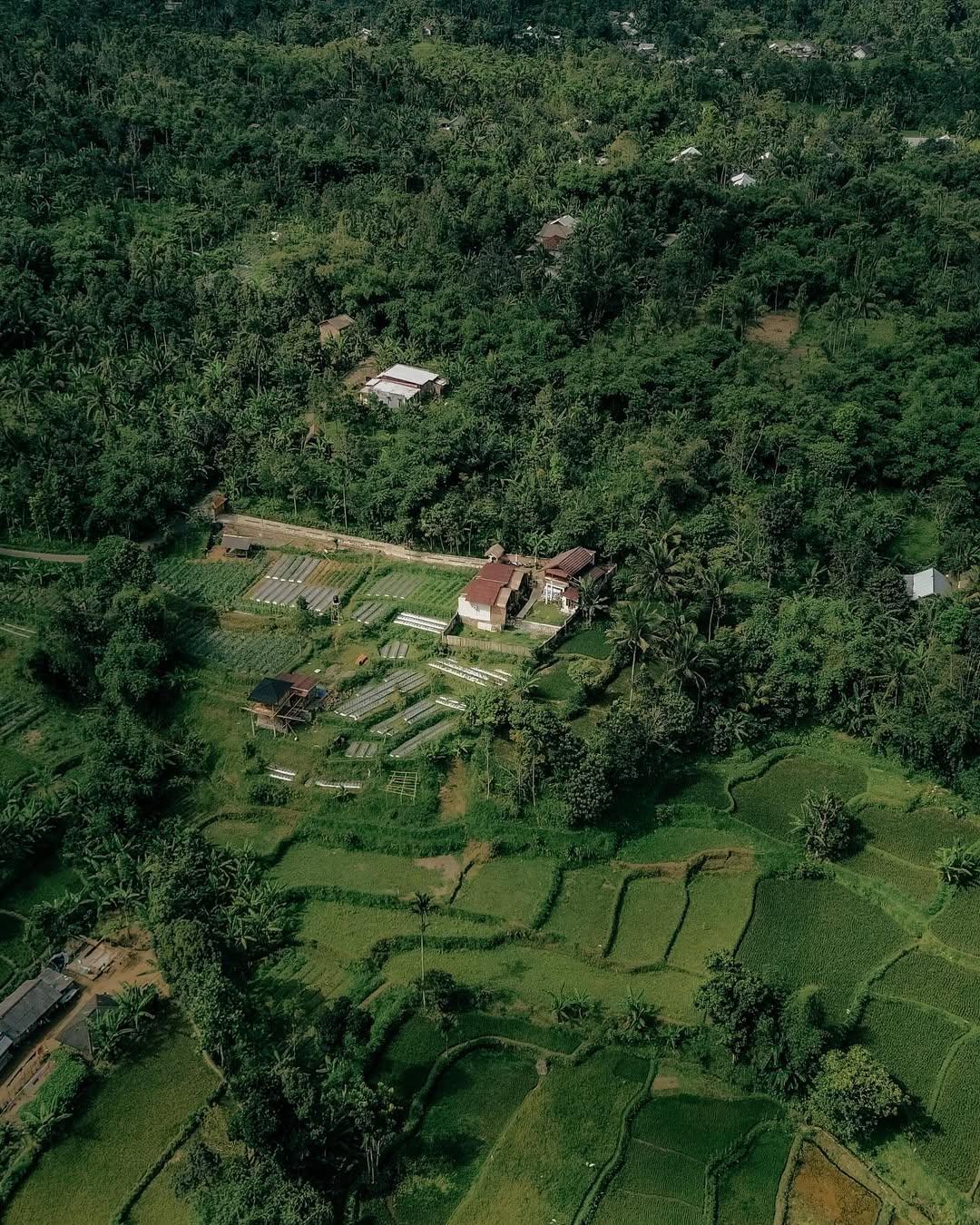 Alora House
